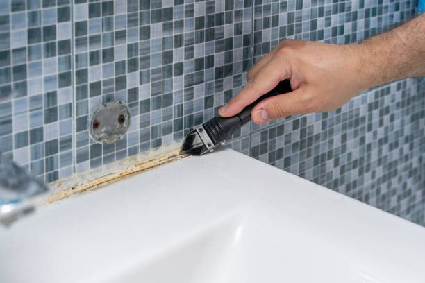 Best DIY Mold Remediation Support Services in Hudson, IA